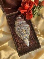 Dual Tone Vishnu Shankh